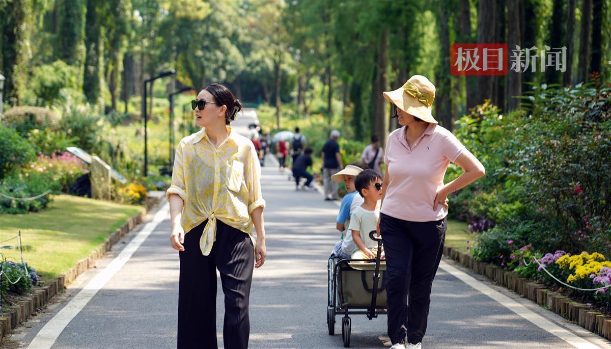 天9国际苹果手机版
